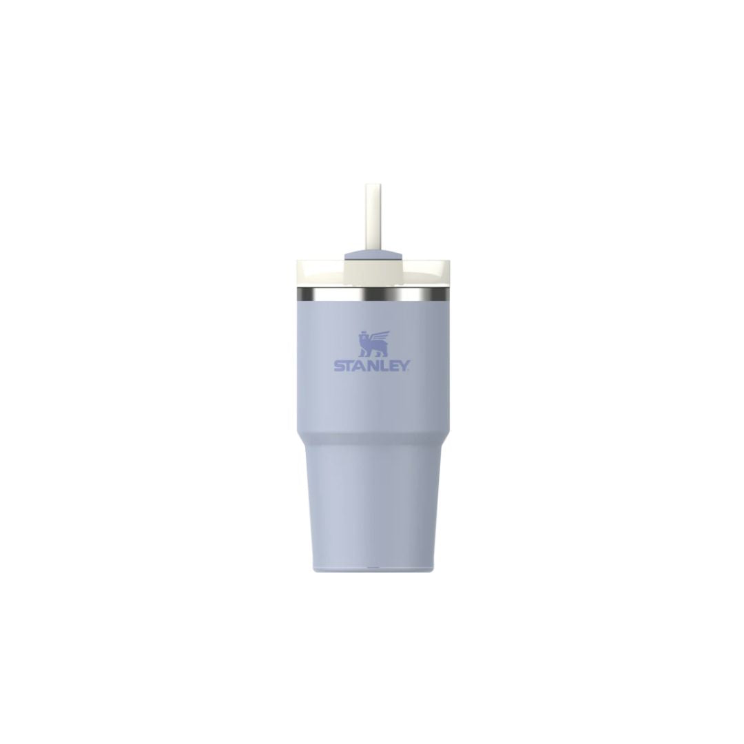 Stanley Quencher® H2.O 0.59L Flowstate™ Tumbler | Dew Drop