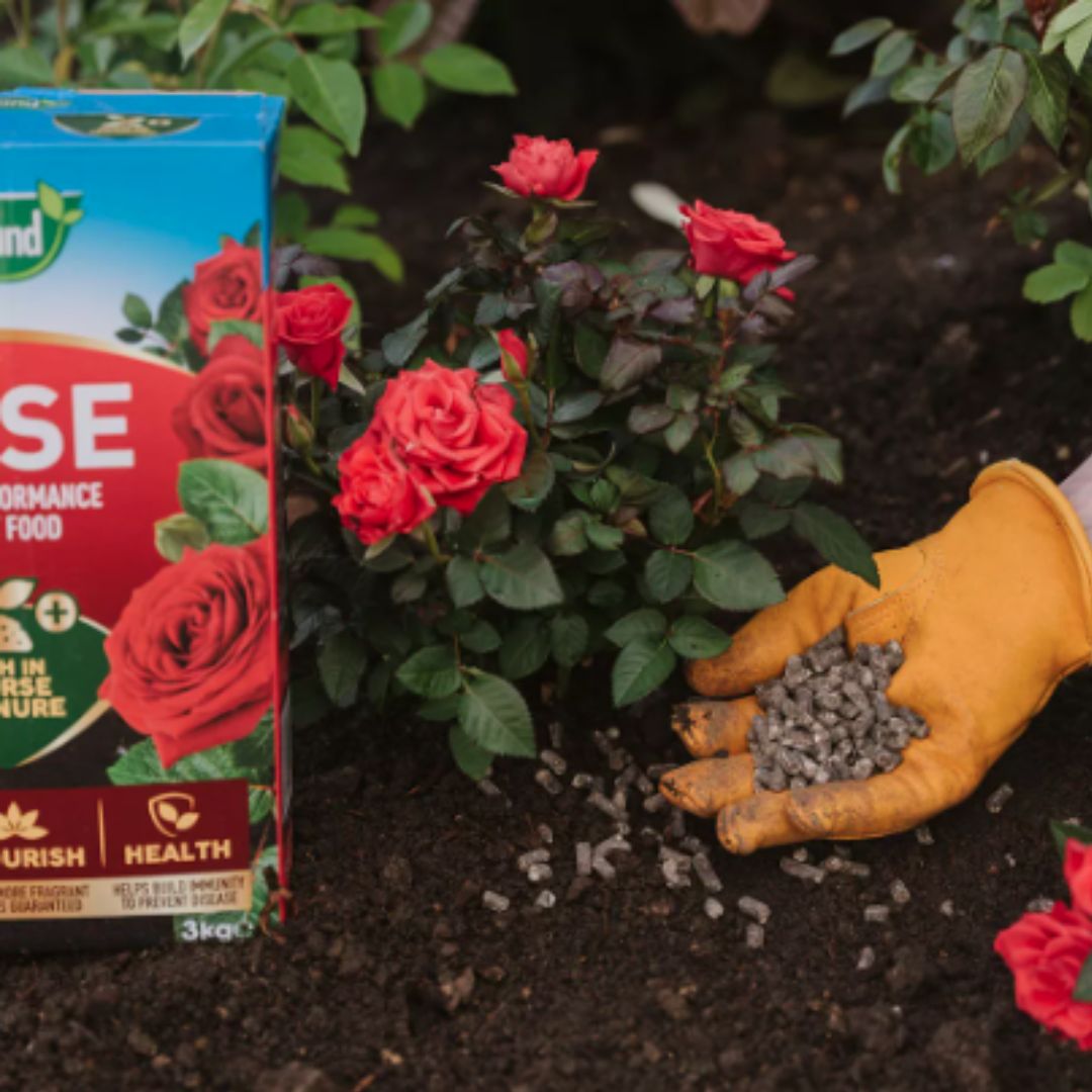 Westland Rose High Performance Liquid Plant Food