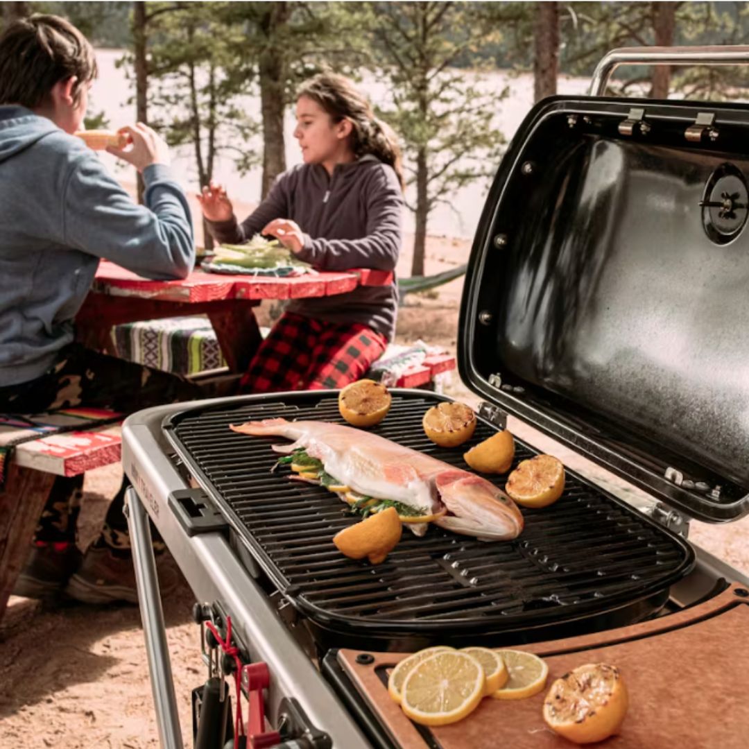 Weber Traveler Gas Barbecue