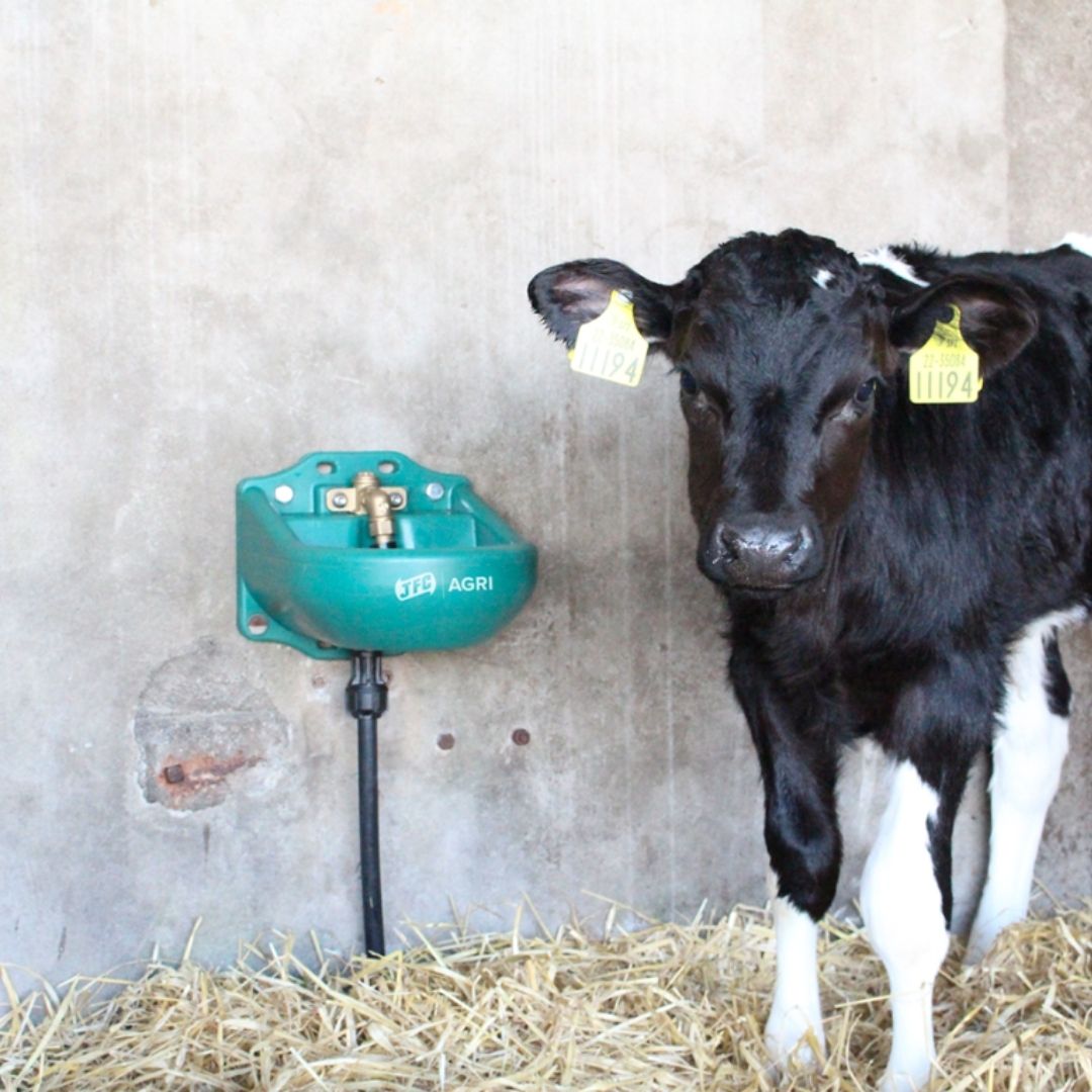 JFC Nose Fill Drink Bowl (Double Entry Valve) (Green)