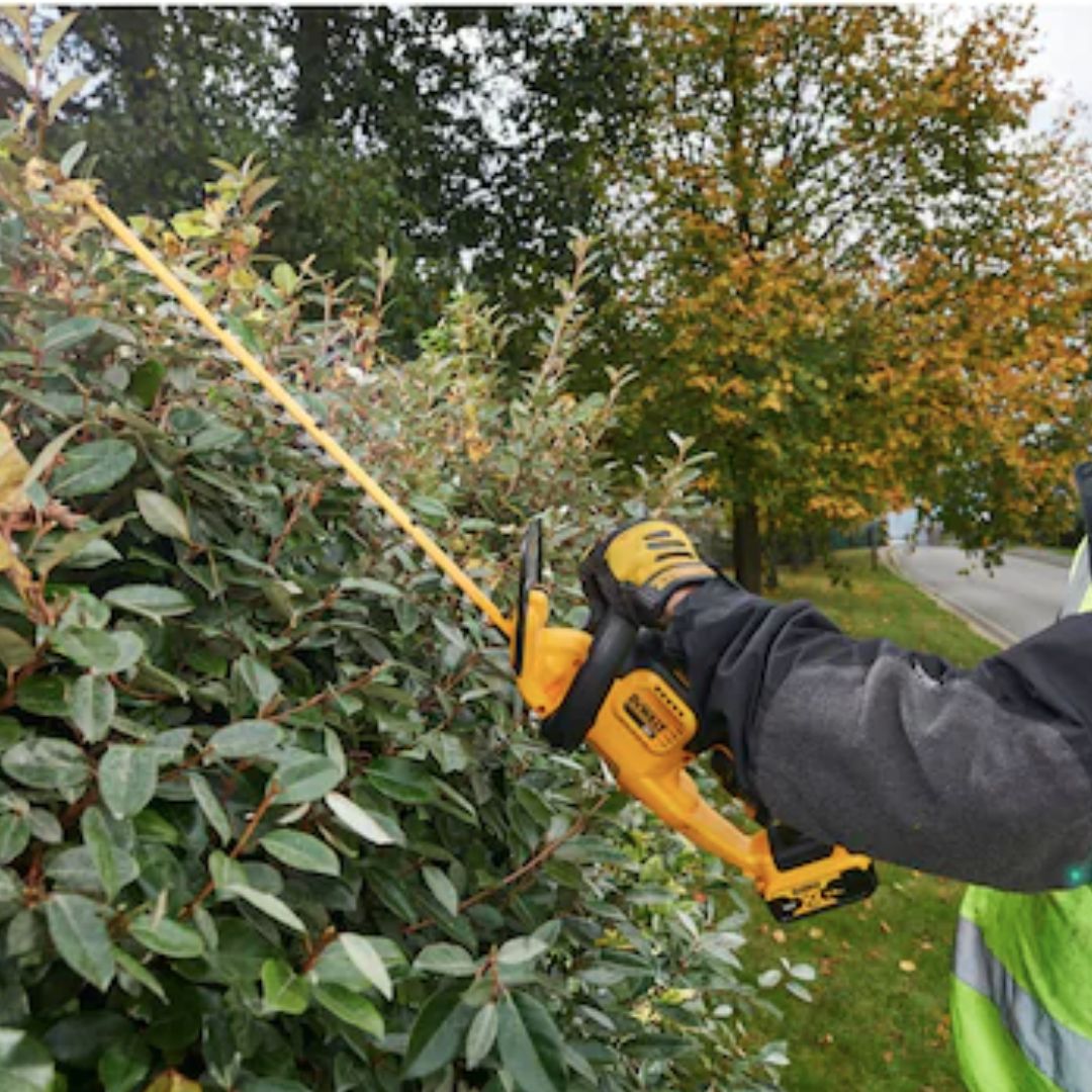Dewalt 18V XR 55cm Hedge Trimmer
