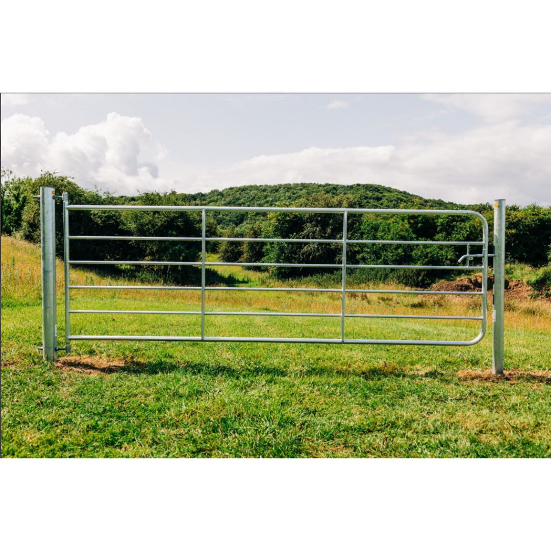 GIBNEY FIELD GATE D4
