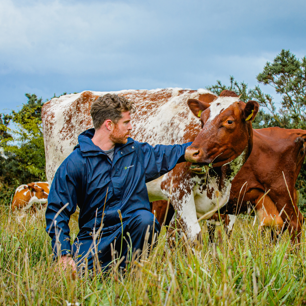 AGRISHIELD ALL WEATHER JACKET | NAVY