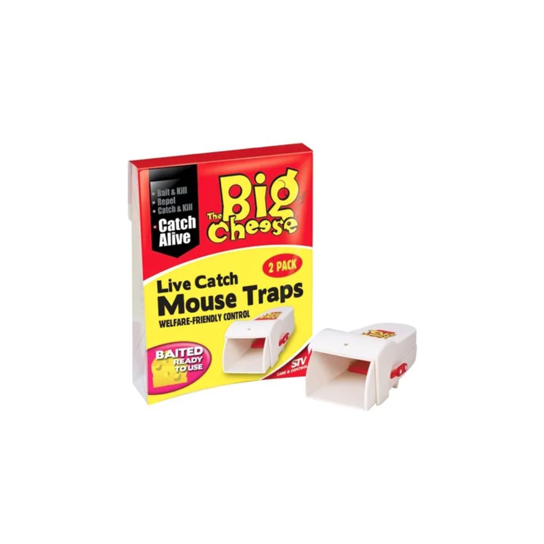 BIG CHEESE LIVE CATCH MOUSE TRAP | 2 PACK