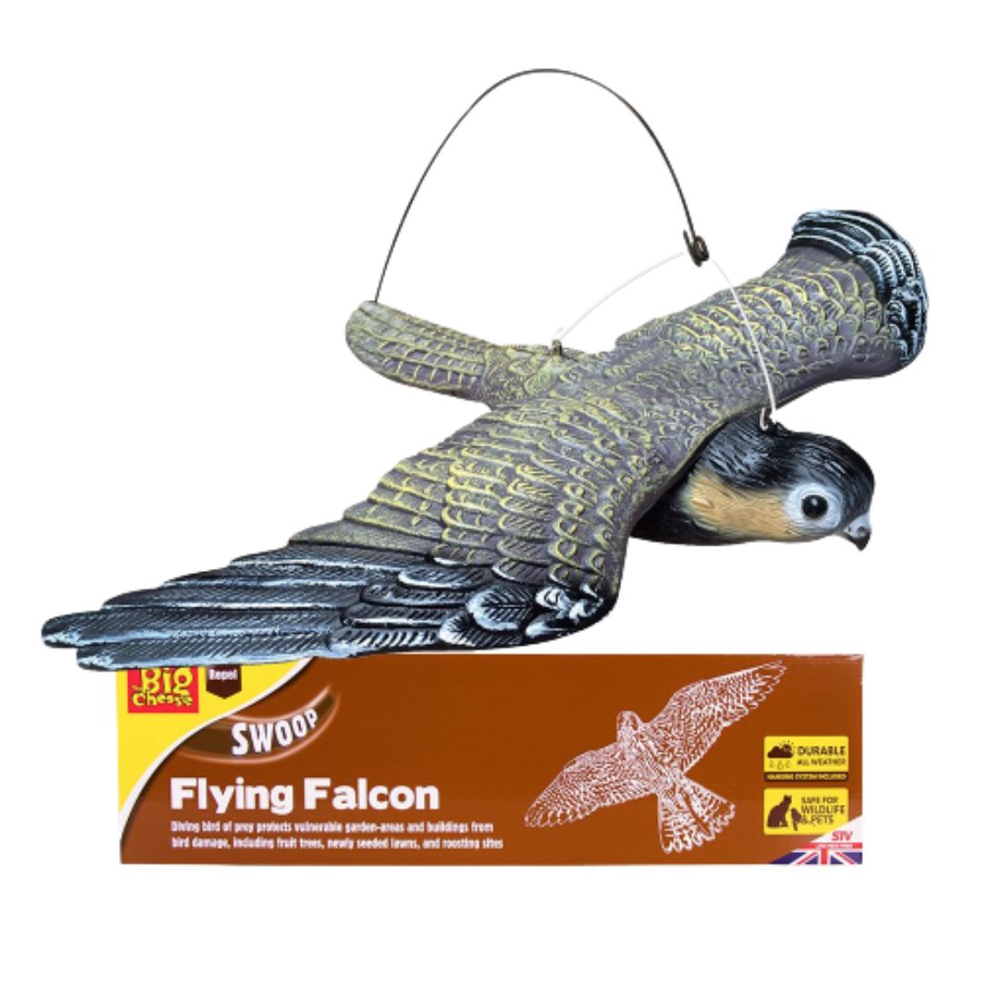 BIG CHEESE FLYING FALCON DECOY