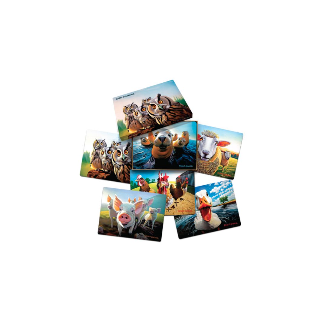 Tipperary Eoin O Connor Beyond the Herd Set of 6 Placemats