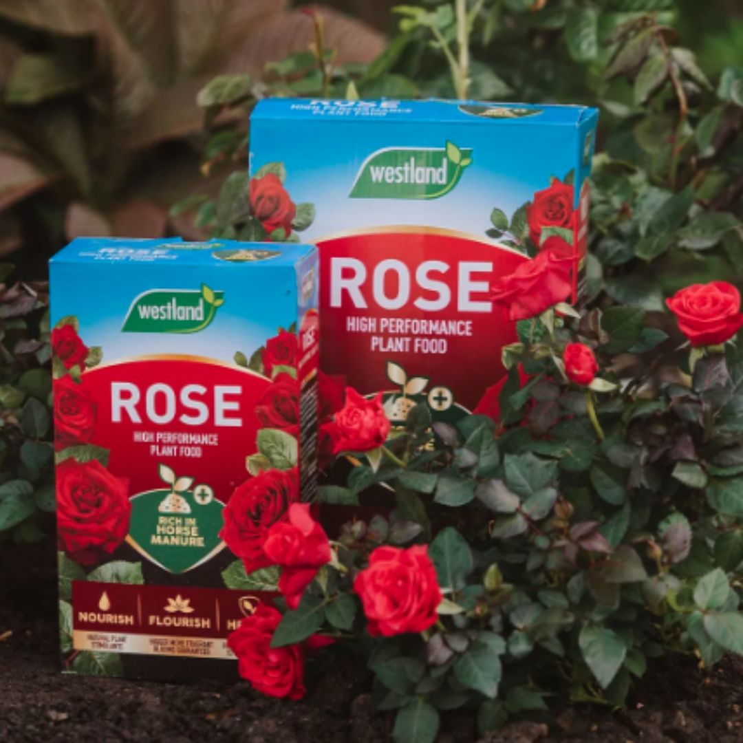 Westland Rose High Performance Liquid Plant Food