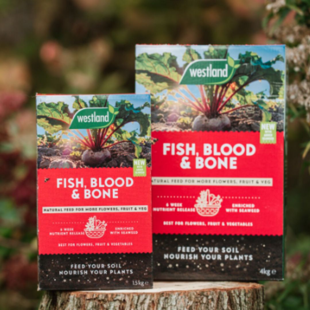 Westland Fish, Blood & Bone