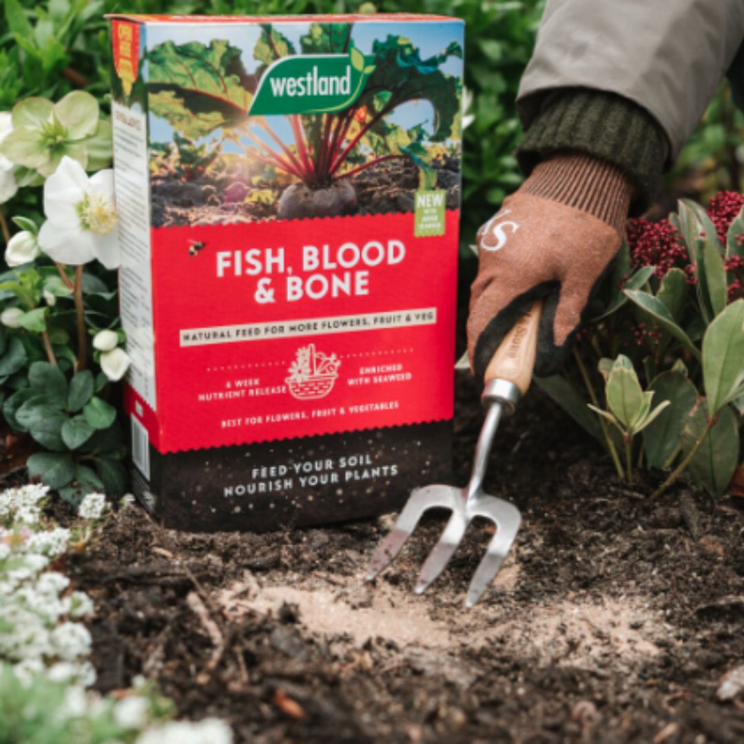 Westland Fish, Blood & Bone