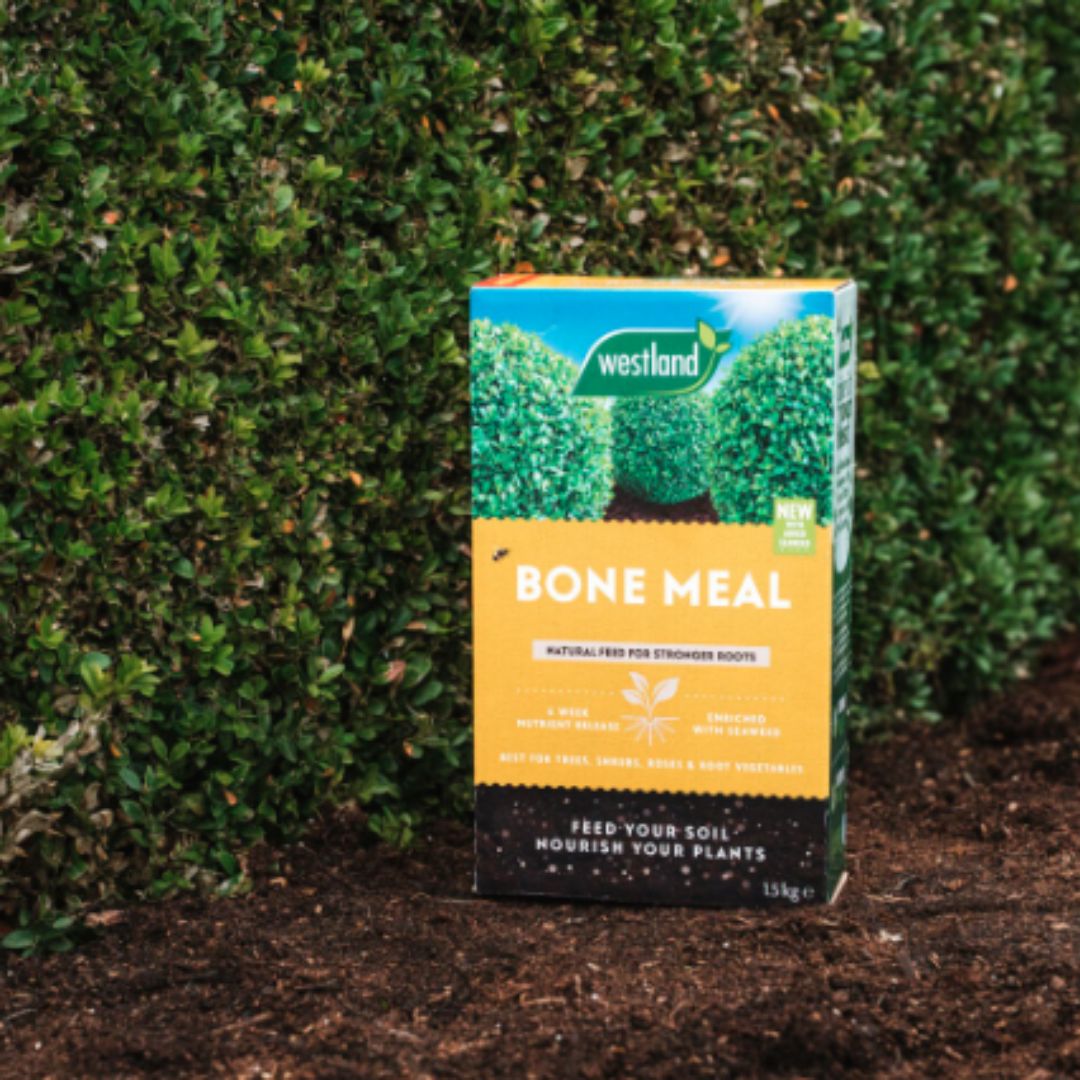 Westland Bone Meal