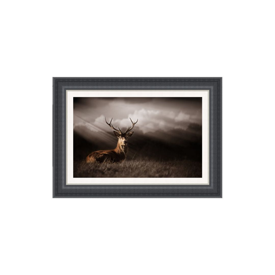DEAR BATHED IN SUNRAYS PICTURE FRAME