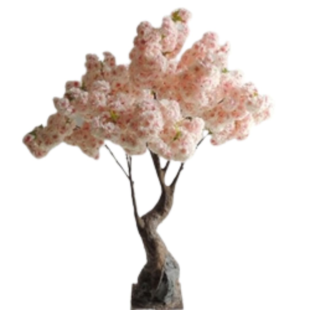 ENCHANTE CHERRY BLOSSOM TREE | 165CM