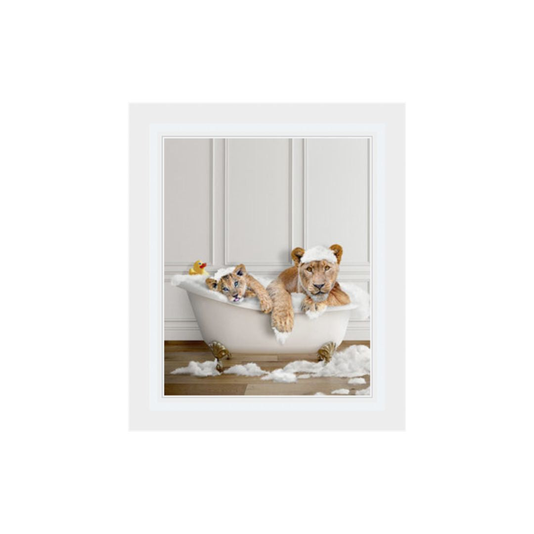 LIONS IN THE BATH PICTURE FRAME