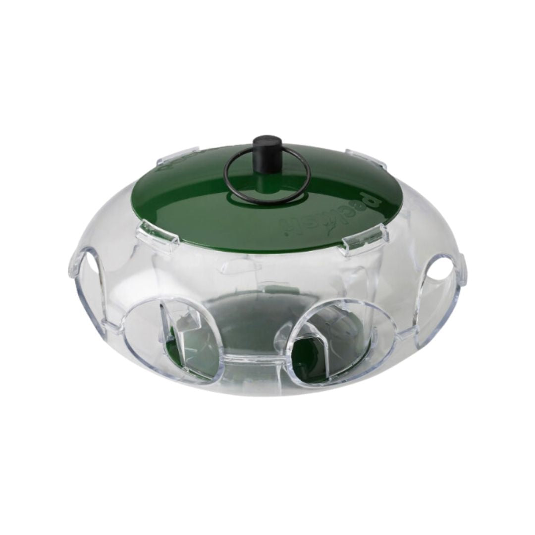 WESTLAND PECKISH SMALL BIRD SEED FEEDER