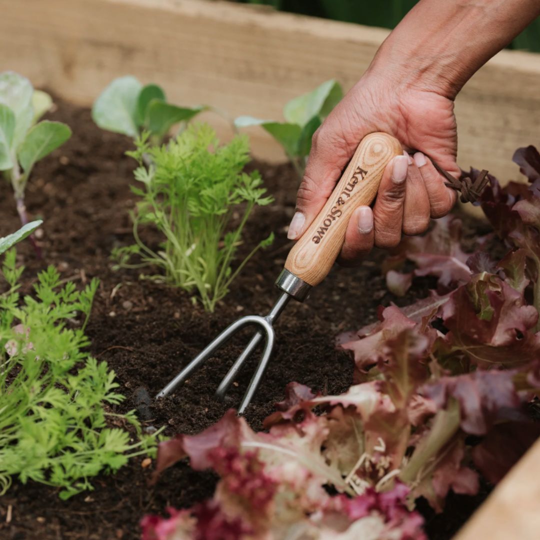Kent & Stowe Garden Life Stainless Steel Hand Cultivator
