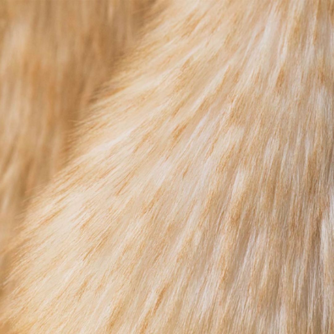 Jellycat Springlowe Luxe Bunny