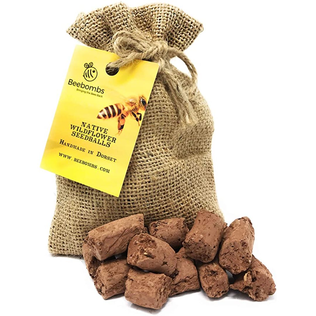 BEEBOMBS - 1 PACK OF NATIVE WILDFLOWER