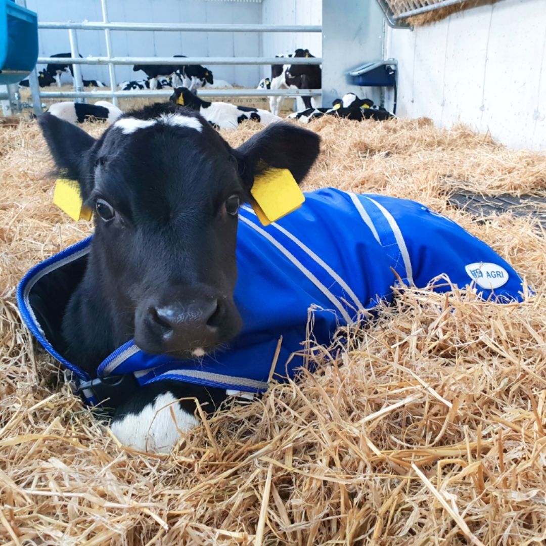 JFC Agri Calf Jacket