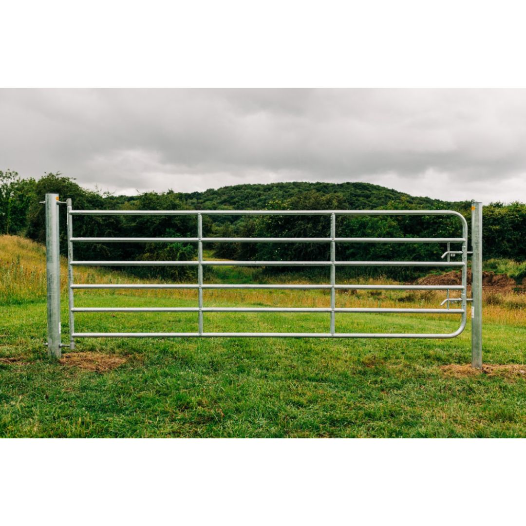 GIBNEY YARD GATE D6