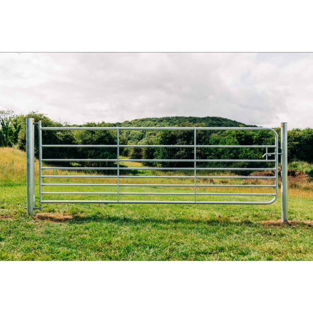 GIBNEY SHEEP GATE D9