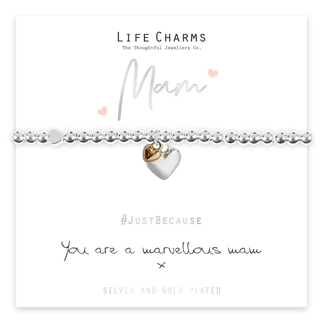 LIFE CHARMS BRACELET YOU ARE A MARVELLOUS MAM BRACELET