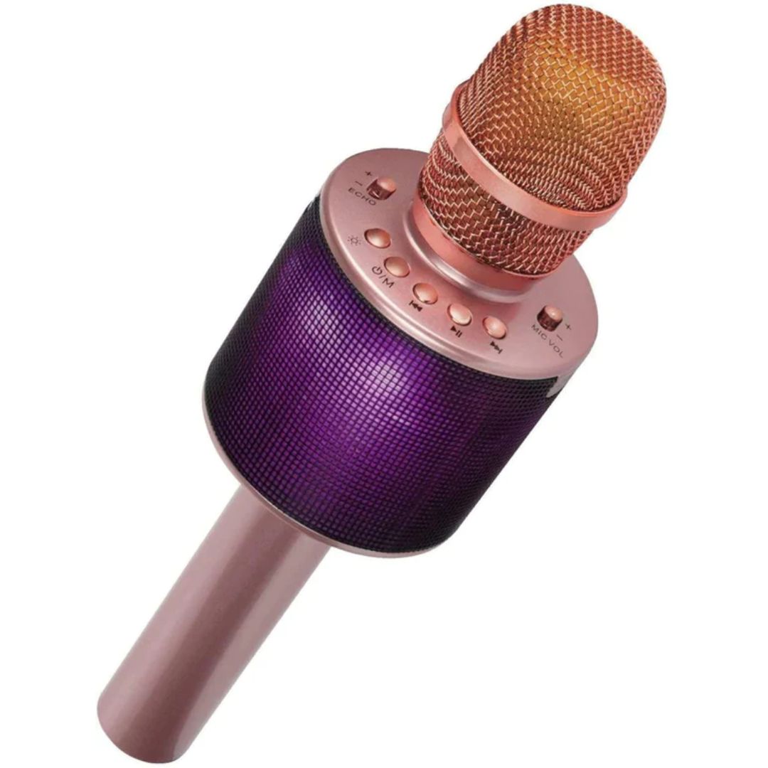 ISTAR KARAOKE MICROPHONE