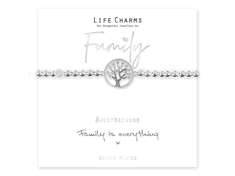 LIFE CHARMS BRACELET FAMILY IS EVERYTHING